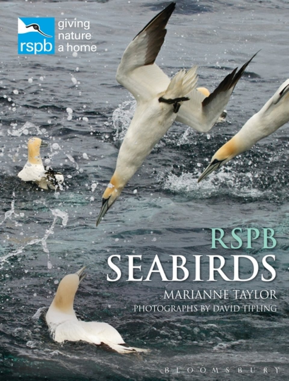 RSPB SEABIRDS
