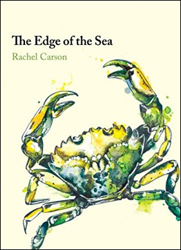 THE EDGE OF THE SEA 1
