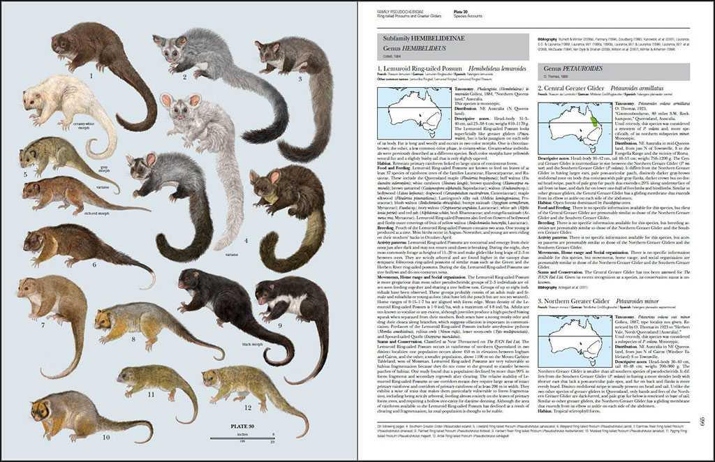 HANDBOOK OF THE MAMMALS OF THE WORLD. VOL. 5 MONOTREMES AND MARSUPIALS 3