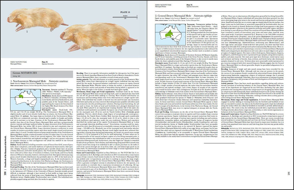 HANDBOOK OF THE MAMMALS OF THE WORLD. VOL. 5 MONOTREMES AND MARSUPIALS 4