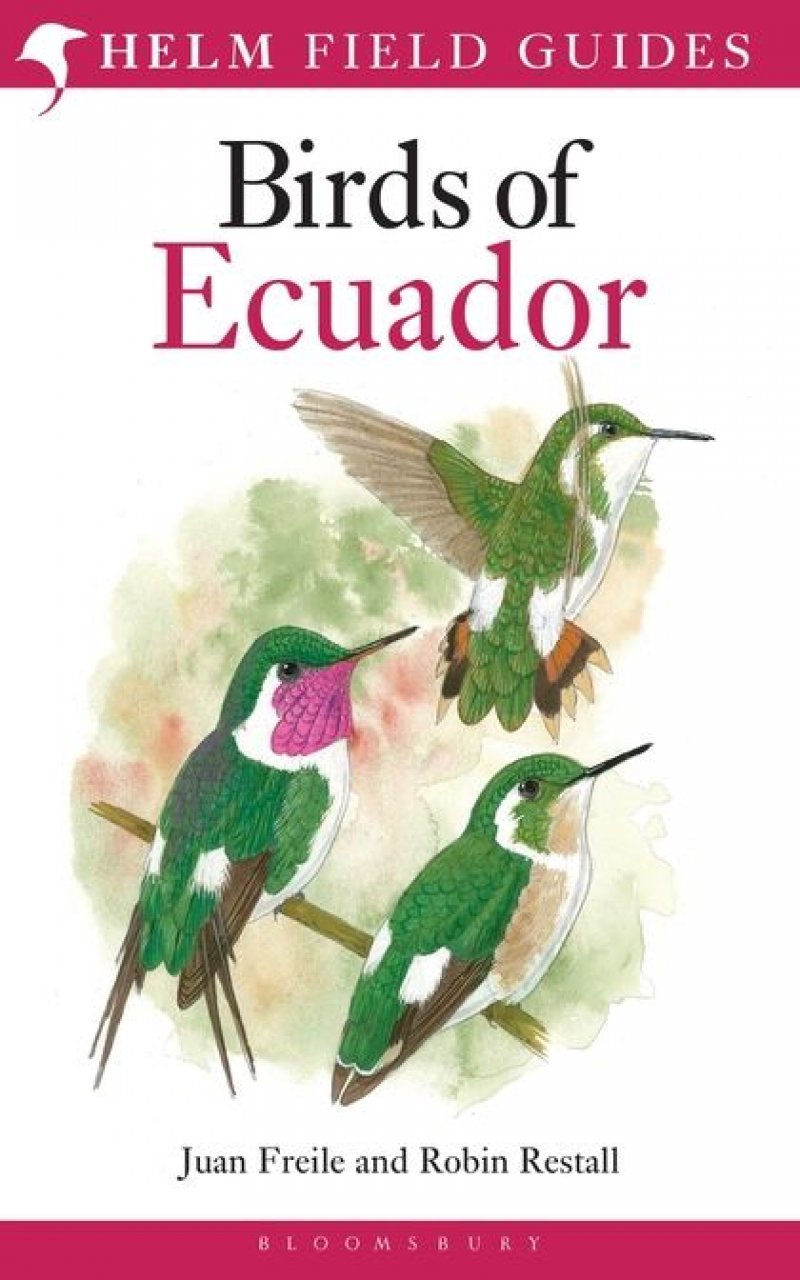 HELM FIELD GUIDES. BIRDS OF ECUADOR 1