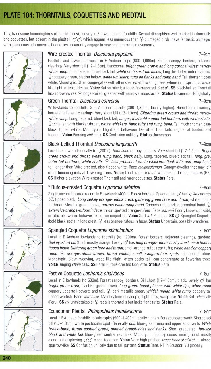 HELM FIELD GUIDES. BIRDS OF ECUADOR 4