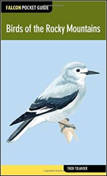 BIRDS OF THE ROCKY MOUNTAINS 1