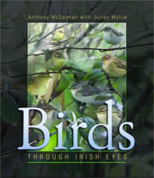 BIRDS THROUGH IRISH EYES