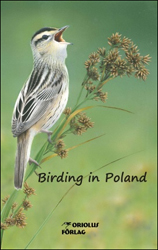BIRDING IN POLAND 1