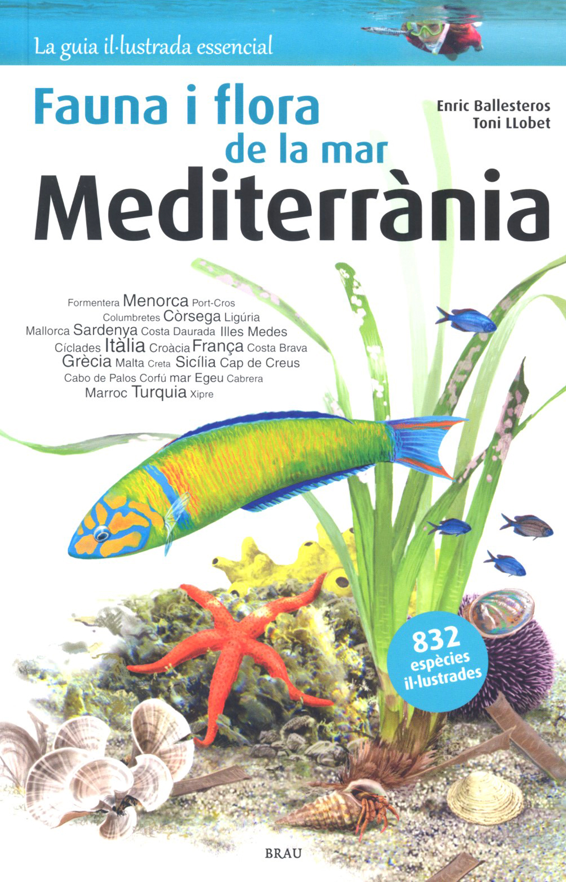 FAUNA I FLORA DE LA MAR MEDITERRÀNIA   1
