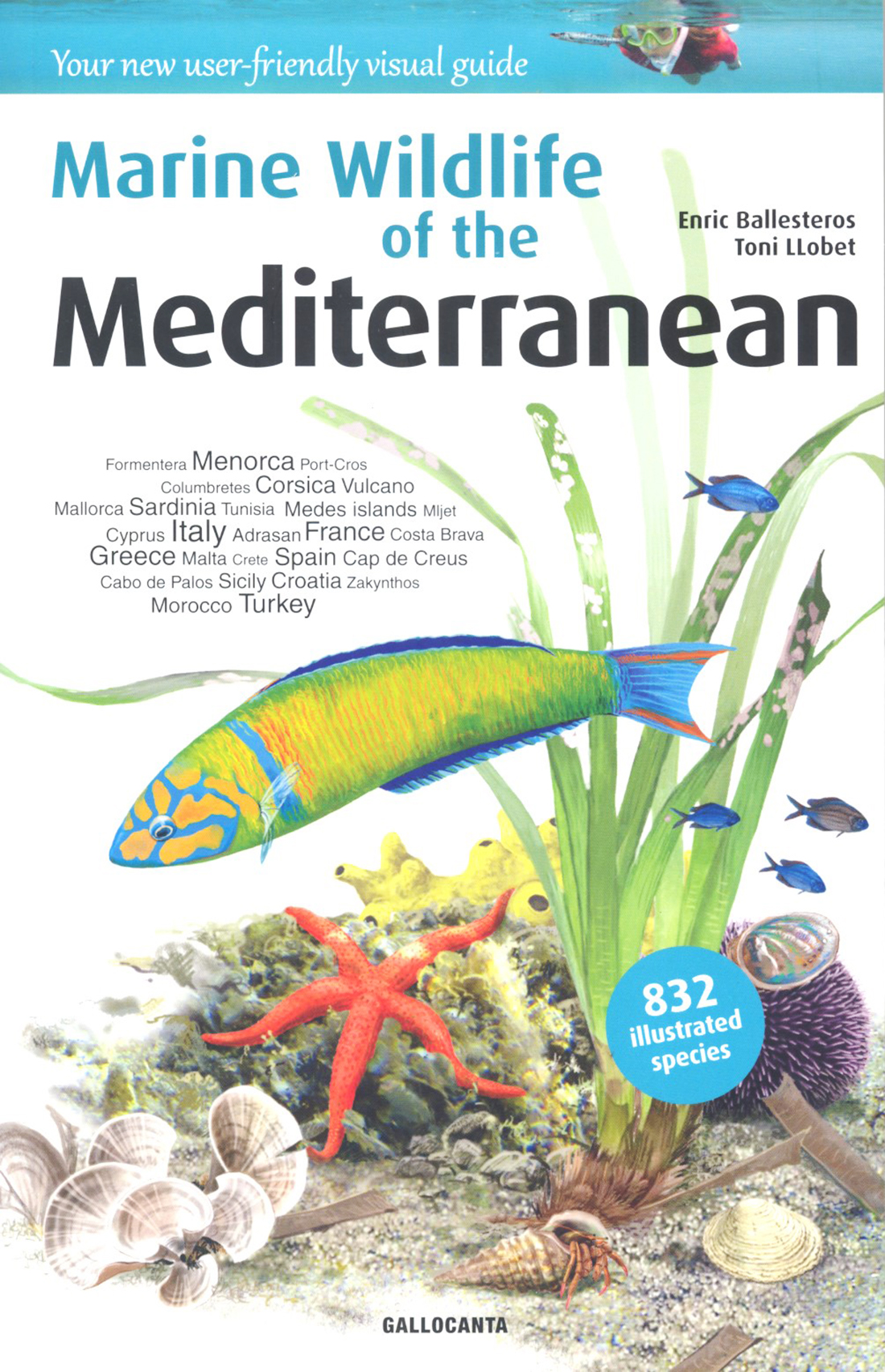 MARINE WILDLIFE OF THE MEDITERRANEAN 1