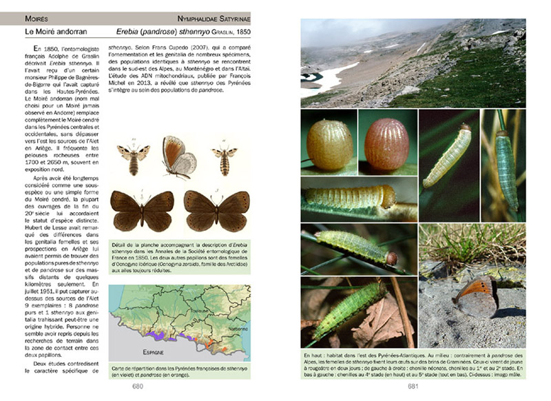 LA VIE DES PAPILLONS. ECOLOGIE, BIOLOGIE ET COMPORTEMENT DES RHOPALOCERES DE FRANCE 4