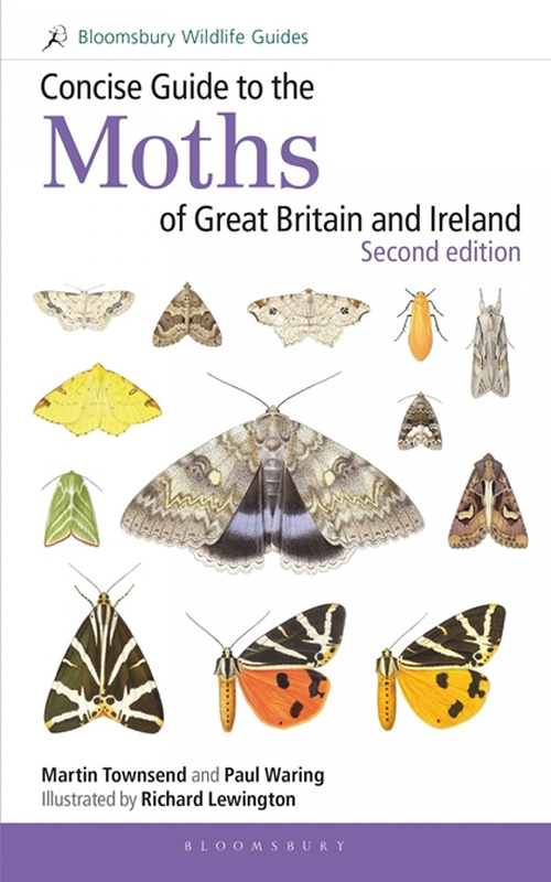 CONCISE GUIDE TO THE MOTHS OF GREAT BRITAIN AND IRELAND