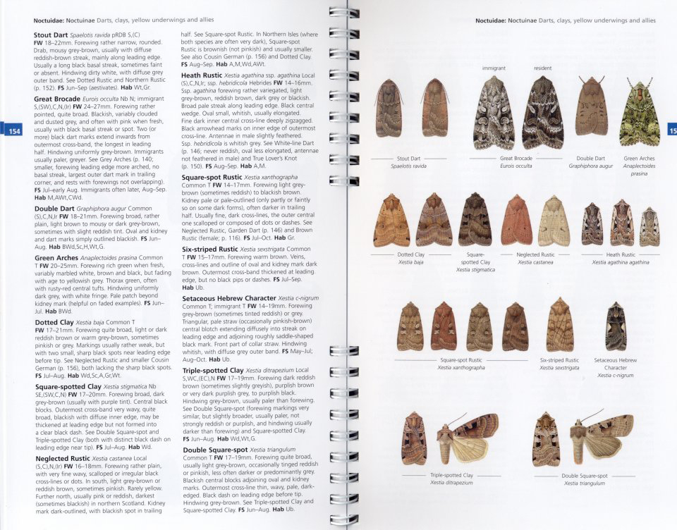 CONCISE GUIDE TO THE MOTHS OF GREAT BRITAIN AND IRELAND 2