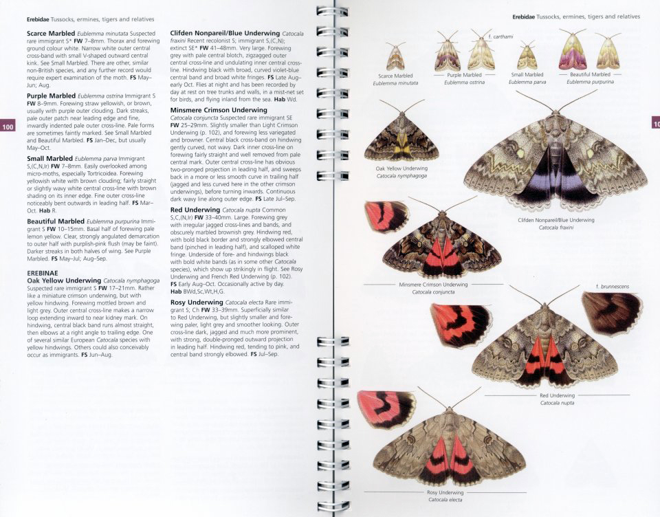 CONCISE GUIDE TO THE MOTHS OF GREAT BRITAIN AND IRELAND 3