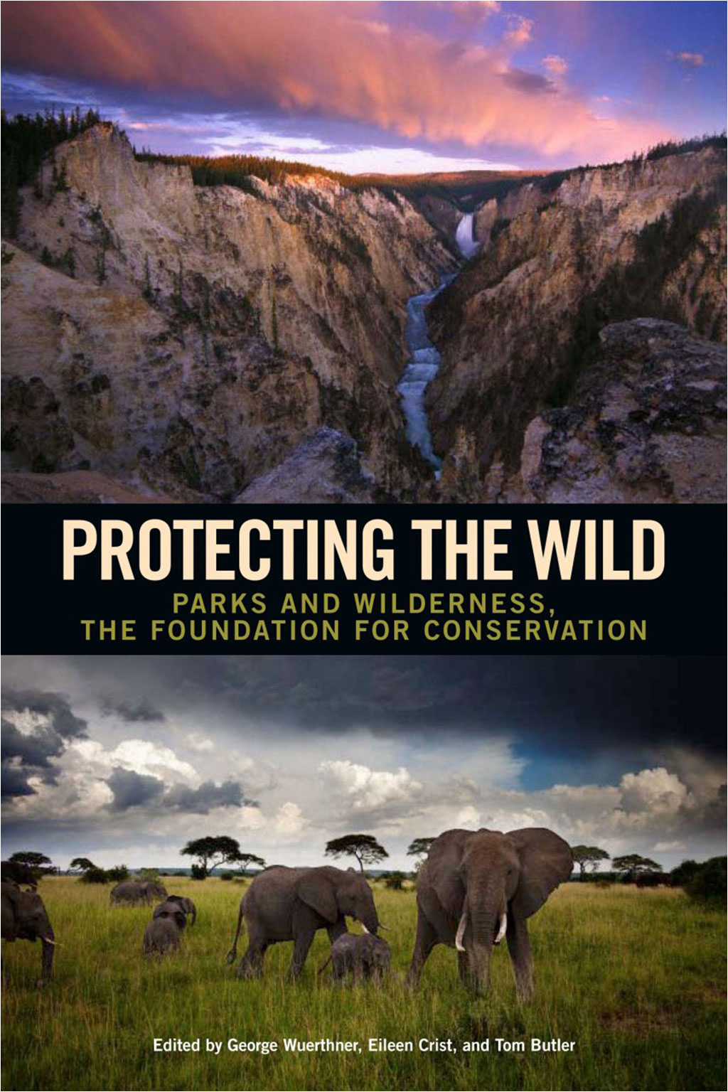 PROTECTING THE WILD. PARKS AND WILDERNESS, THE FOUNDATION FOR CONSERVATION
