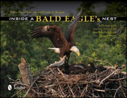 INSIDE A BALD EAGLE'S NEST. A PHOTOGRAPHIC JOURNEY THROUGH THE AMERICAN BALD EAGLE NESTING SEASON