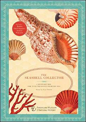 THE SEASHELL COLLECTOR 1