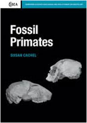 FOSSIL PRIMATES
