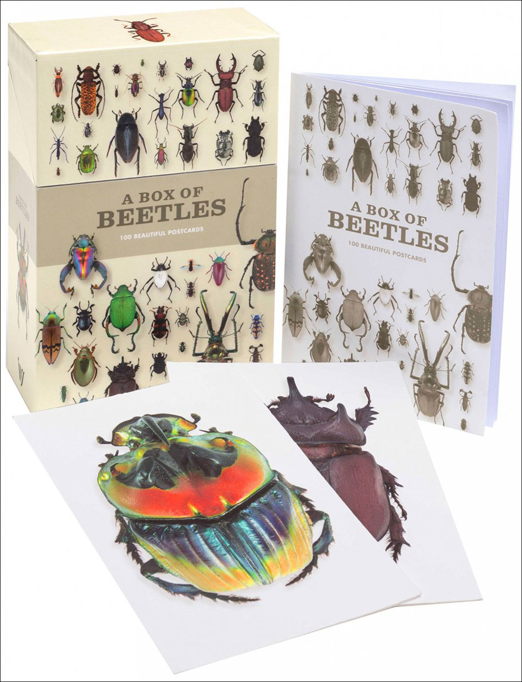 A BOX OF BEETLES 100 BEAUTIFUL POSTCARDS