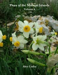FLORA OF THE MALTESE ISLANDS VOLUME 4 1