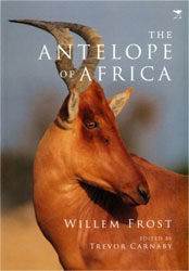 THE ANTELOPE OF AFRICA 1