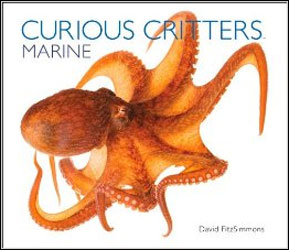 CURIOUS CRITTERS. MARINE 1