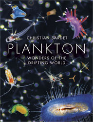 PLANKTON. WONDERS OF THE DRIFTING WORLD 1