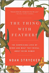THE THING WITH FEATHERS. THE SURPRISING LIVES OF BIRDS AND WHAT THEY REVEAL ABOUT BEING 1