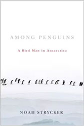 AMONG PENGUINS. A BIRD MAN IN ANTARCTICA 1