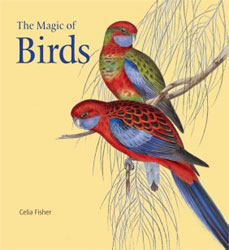 THE MAGIC OF BIRDS