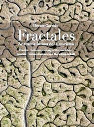 FRACTALES. ANATOMÍA ÍNTIMA DE UNA MARISMA