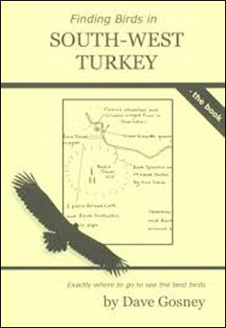 FINDING BIRDS IN SOUTH-WEST TURKEY 1