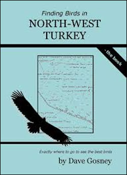 FINDING BIRDS IN NORTH-WEST TURKEY 1