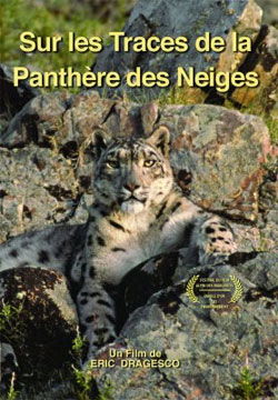 DVD SUR LES TRACES DE LA PANTHÈRE DES NEIGES 1