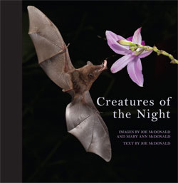 CREATURES OF THE NIGHT 1