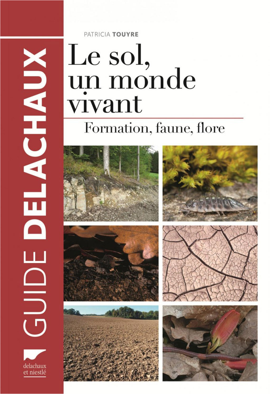 LE SOL, UN MONDE VIVANT. FORMATION, FAUNE, FLORE