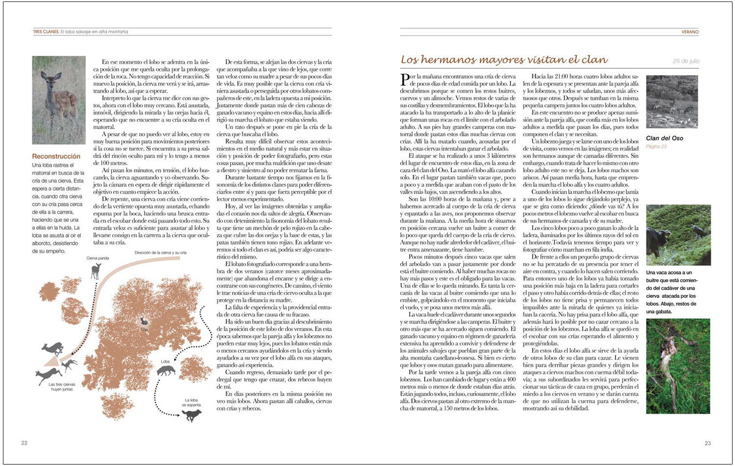 TRES CLANES. EL LOBO IBÉRICO EN ALTA MONTAÑA 2