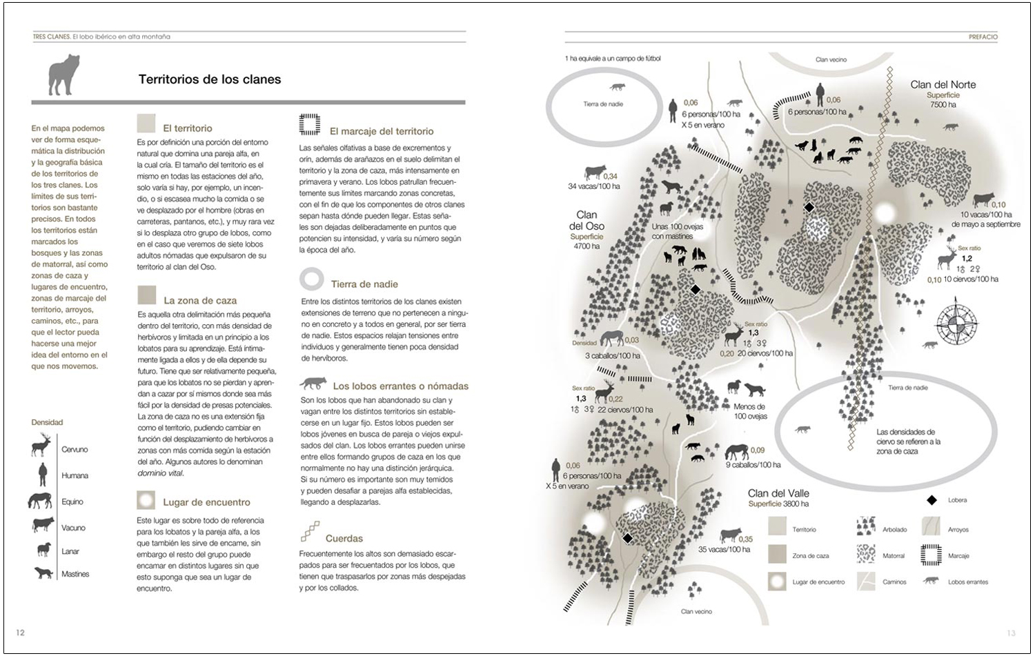 TRES CLANES. EL LOBO IBÉRICO EN ALTA MONTAÑA 4