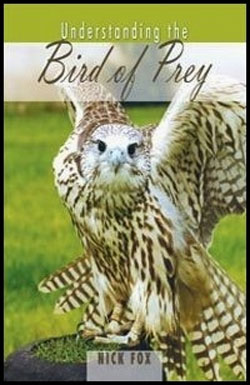 UNDERSTANDING THE BIRD OF PREY