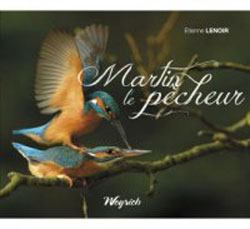 MARTIN LE PECHEUR 1