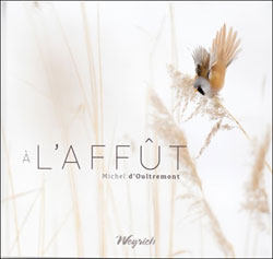 À L'AFFÛT