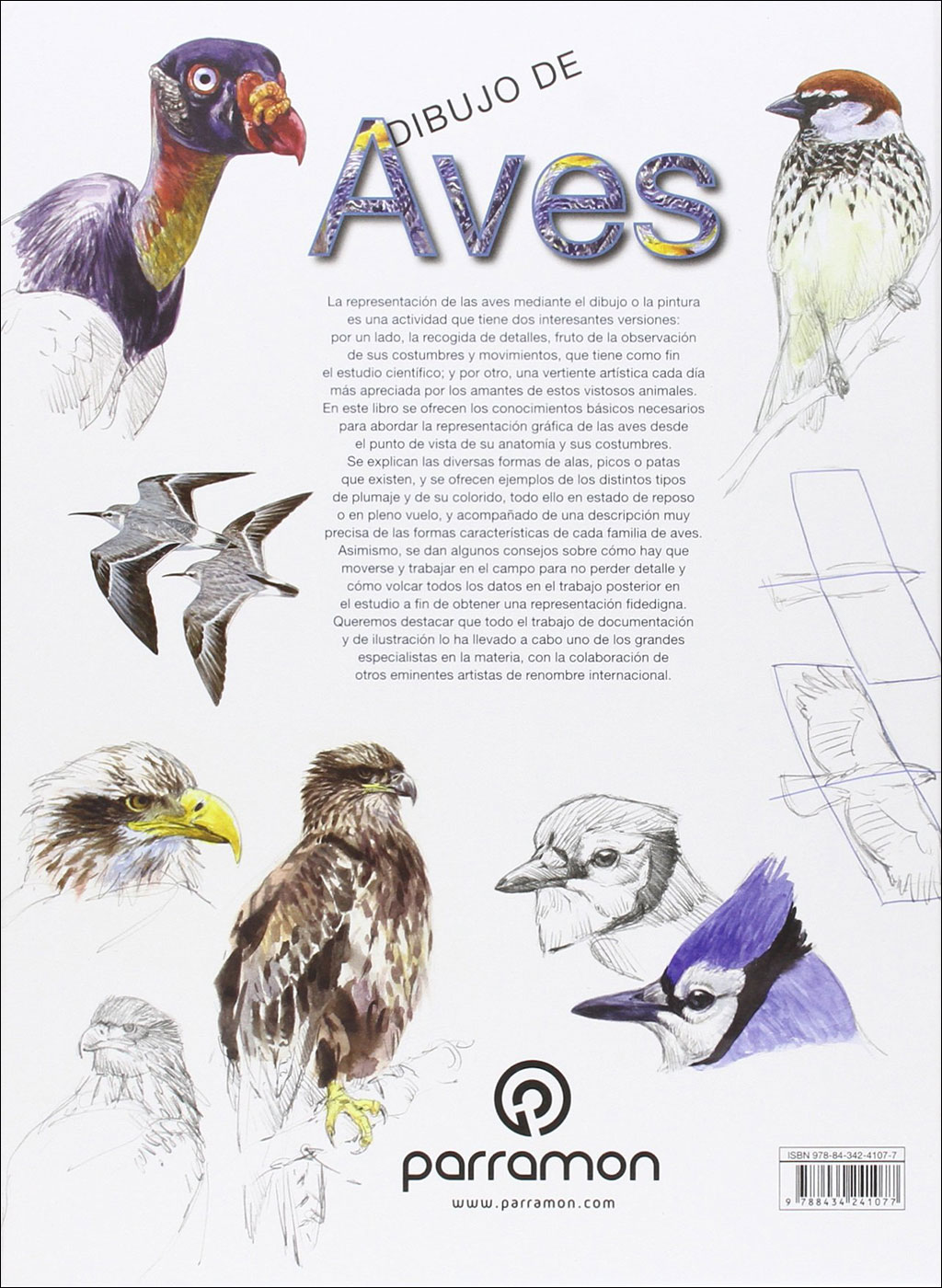 DIBUJO DE AVES. PARA APRENDER A DIBUJAR BOCETOS E ILUSTRAR AVES 2