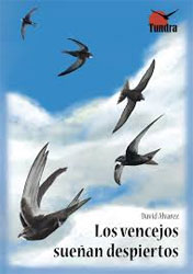 LOS VENCEJOS SUEÑAN DESPIERTOS 2