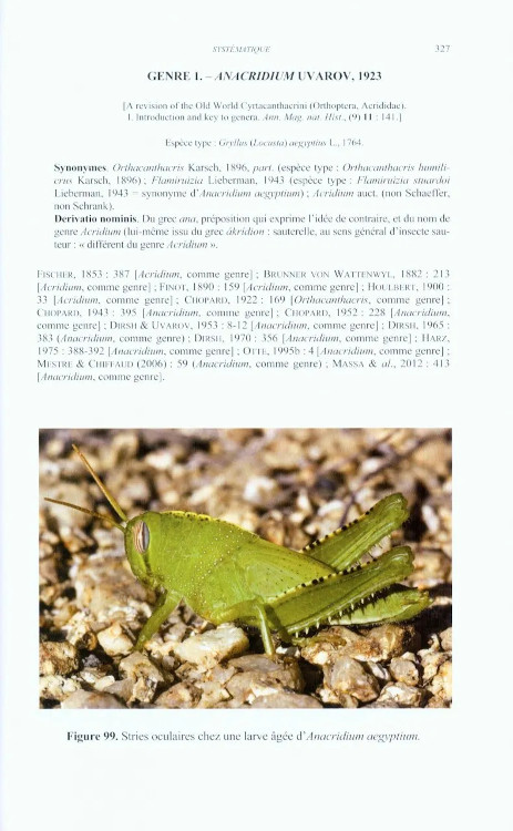 CRIQUETS DE FRANCE (ORTHOPTERA, CAELIFERA) VOL. 1 FASCICULE A ET B 5