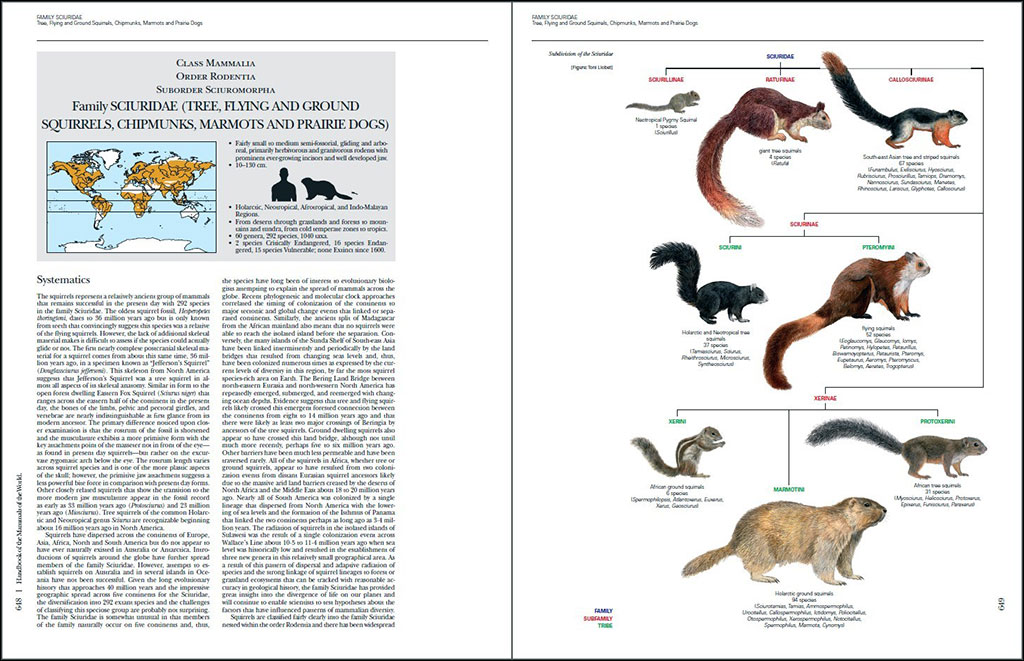 HANDBOOK OF THE MAMMALS OF THE WORLD. VOLUME 6 RODENTS AND LAGOMORPHS 2