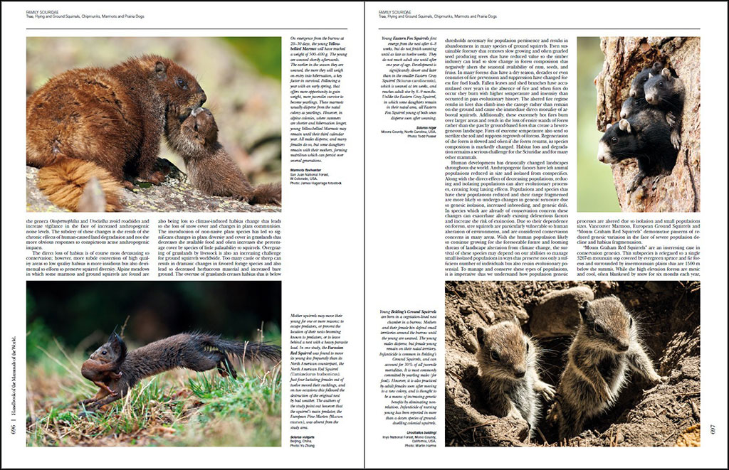 HANDBOOK OF THE MAMMALS OF THE WORLD. VOLUME 6 RODENTS AND LAGOMORPHS 3
