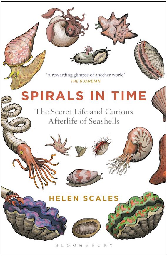 SPIRALS IN TIME. THE SECRET LIFE AND CURIOUS AFTERLIFE OF SEASHELLS