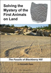 SOLVING THE MYSTERY OF THE FIRST ANIMALS ON LAND. THE FOSSILS OF BLACKBERRY HILL 1