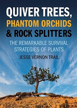 QUIVER TREES, PHANTOM ORCHIDS & ROCK SPLITTERS. THE REMARKABLE SURVIVAL STRATEGIES OF PLANTS 1