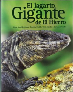EL LAGARTO GIGANTE DE EL HIERRO 1