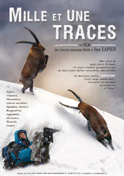 DVD MILLE ET UNE TRACES