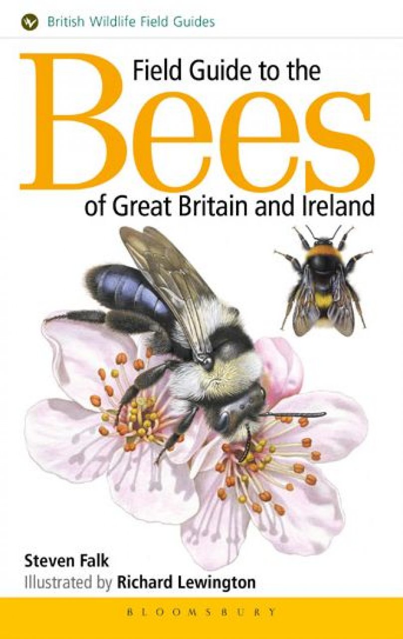 FIELD GUIDE TO THE BEES OF GREAT BRITAIN AND IRELAND