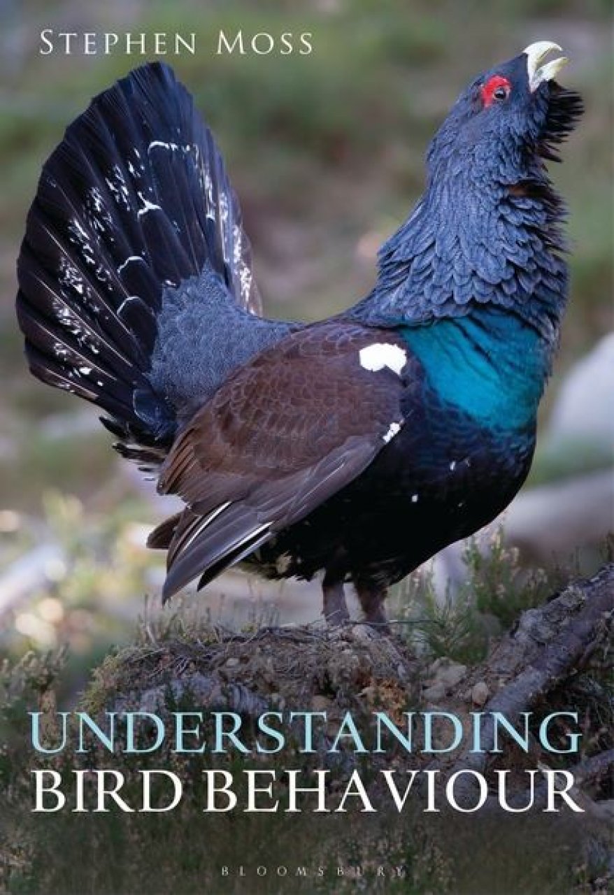 UNDERSTANDING BIRD BEHAVIOUR 1